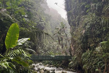 Private Full Day Jurassic Adventure with Waterfall & Dry Slide