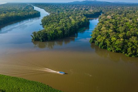 Boat Tour through Tortuguero National Park