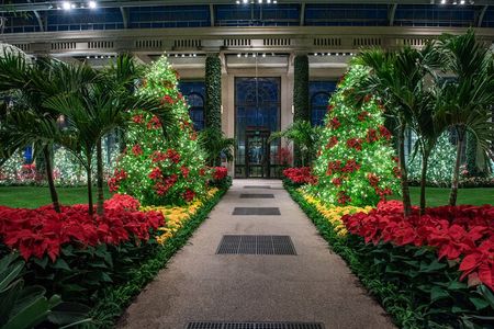 Longwood Gardens from Philadelphia Holiday Lights Tour