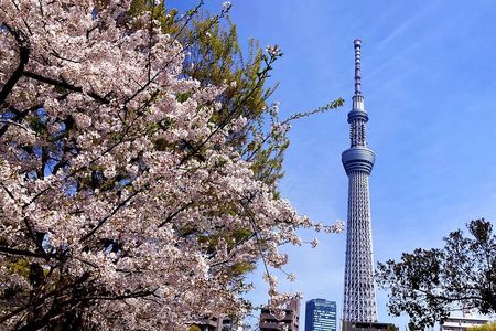 Unlock Hidden Tokyo: Private Custom Tour with a Local driver
