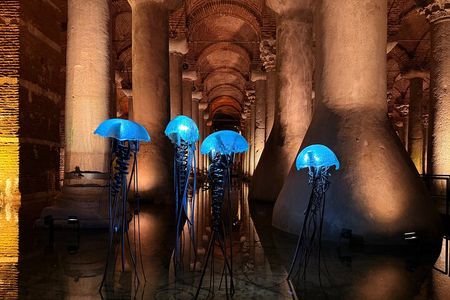 Basilica Cistern - Skip The Ticket Line - Private Tour 