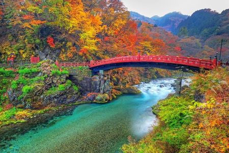 Nikko World Heritage Private Day Tour w/ English Speaking Driver