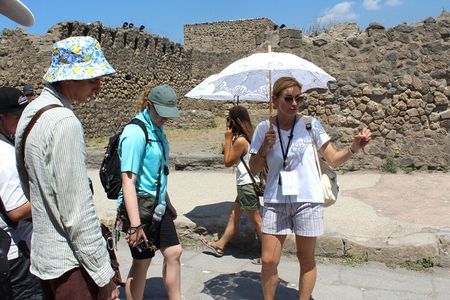 From Naples: Pompeii & Mount Vesuvius Full-Day Tour with Lunch