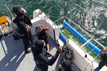 CapeTown: Shark Cage Diving Experience with Scuba 