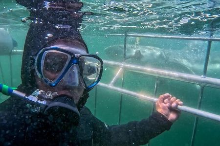 CapeTown: Shark Cage Diving Experience with Scuba 