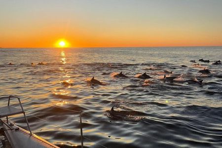 Cape Town Sunset 90 minutes with Escape Cat