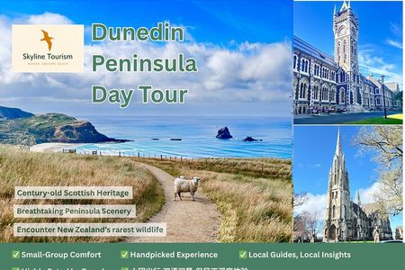 天际线 Private Dunedin City &Peninsula Scenery Day Tour ( up to 4 )