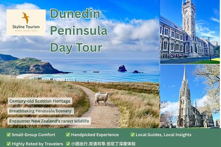 天际线 Dunedin City & Otago Peninsula Scenery Day Tour Sharing