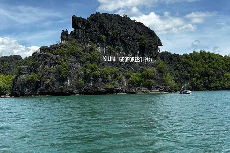 Langkawi Couple’s Day Tour - Mangroves, Cable Car & Watersports