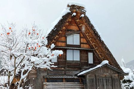 Private Tour From Kanazawa to Takayama and Shirakawa-go