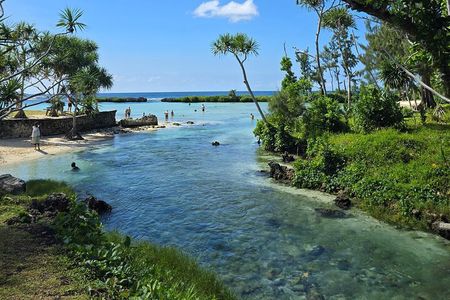 Half Day Tour at Eton Beach and Blue Lagoon with Lunch at Turtles