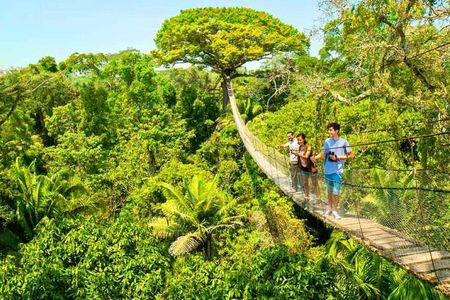 Tambopata 4 Day Amazon Tour: Chuncho Macaw & Sandoval Lake