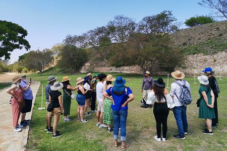 Monte Alban Only - Half Day Guided Tour - Oaxaca