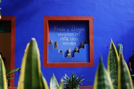Tour to Frida Kahlo Museum, Coyoacan and Xochimilco
