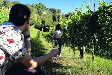 Winery Tour and Tasting 4 wines at Cantina Le Macchie near Rome