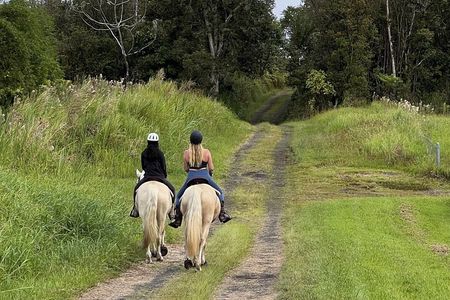 Small Group Rainforest Trail Ride