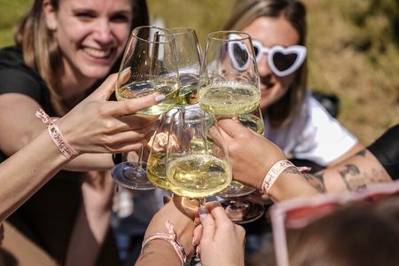 Picnic and Lugana Tour at Perla del Garda winery