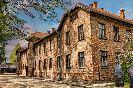 Krakow: Auschwitz-Birkenau Museum Round-trip tour