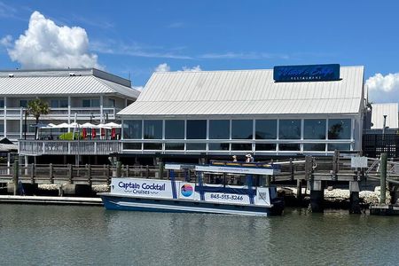 Afternoon Charleston Harbor Boat Cruise: Family Friendly Scenic