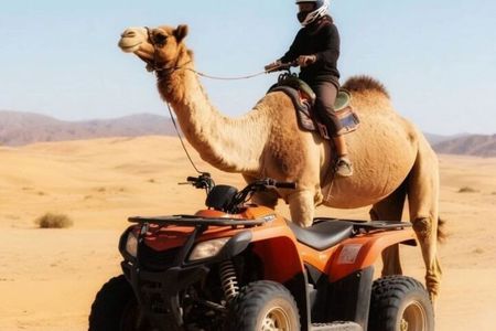 Marrakech: Quad & Camel Ride with Sunset, Dinner & Show