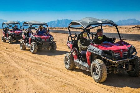 Spider Car Buggy Desert Adventure with Camel Ride from Marsa Alam