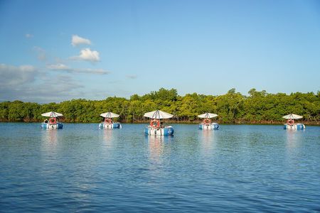 Private Self-Drive BBQ E-Boat Cruise Denarau (Price per boat)