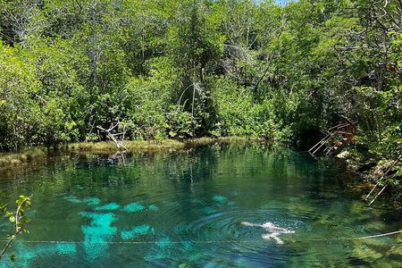Cenotes Private Tour ( Two Eyes, Jaguar & Nicte-Ha )