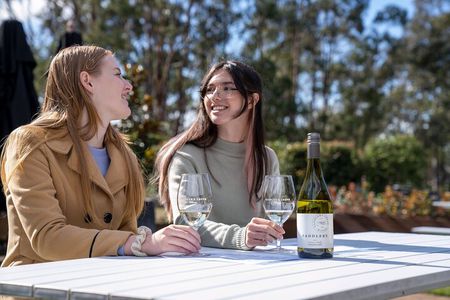 Award-Winning Hunter Valley Wine & Cheese Tour from Sydney