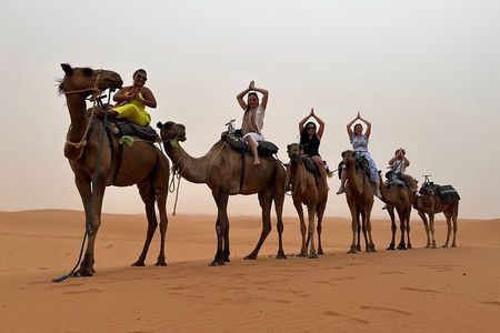 LET'S GO Tour MARRAKECH to DESERT TO FES 3 Days
