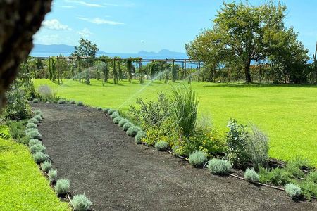 Pompeii Tour & Lunch with Wine Tasting Experience