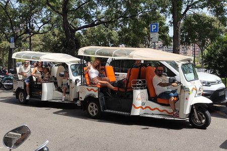 Valencia: Tuk Tuk Full City Tour