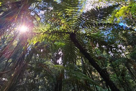 *Popular Tour* - Bay of Islands: Nature Adventure - 4hrs