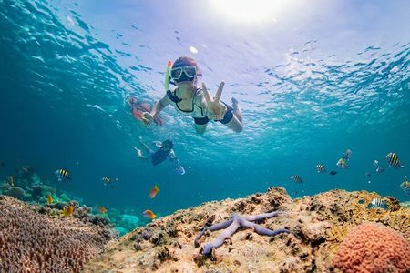Half day Tropical Coral Island Snorkeling Tour from Phuket
