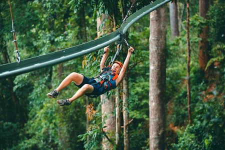 Jungle Flight Zipline Roller Coaster