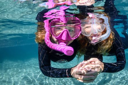 Pre-Season Special Manatee Snorkel Tour in Crystal River