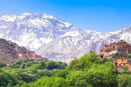 Marrakech to Atlas Mountains: Private Day Trip Berber Experience