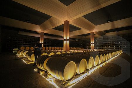 Private Vineyard and Wine Testing Tour From Guanajuato