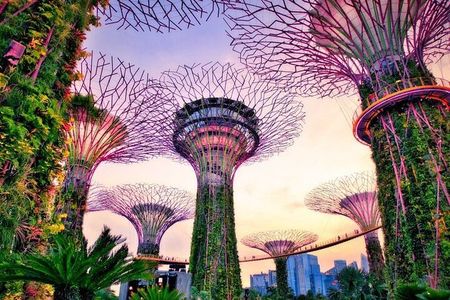 Small Group Nocturnal Singapore Tour: Night Cruise & Light Shows 