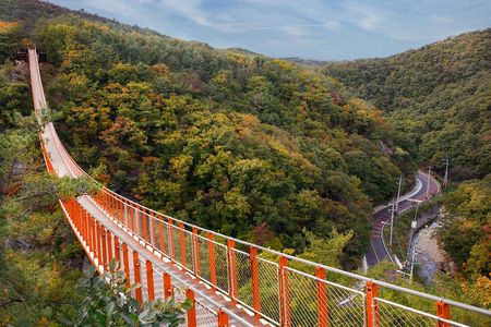 Explore DMZ from Seoul +(optional) Gondola/Red Suspension Bridge
