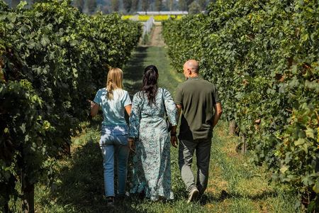 From Padua, Wine Tour in the Euganean Hills