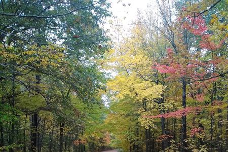 Autumn in Acadia National Park Private Leaf Peeper Driving Tour