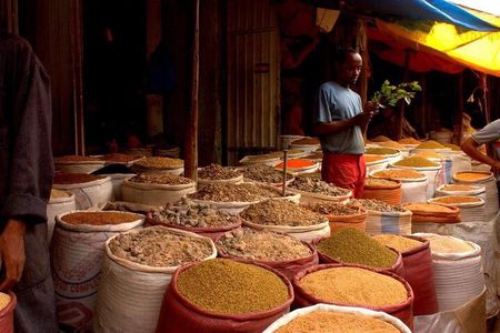 Addis Ababa City Tour with pick up and Dropp off