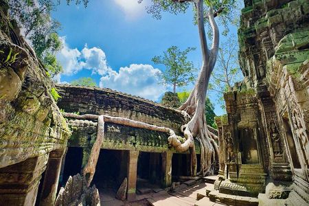 Private Tour Angkor Wat with sunrise or sunset