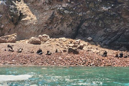 From Lima in Private car to the Ballestas Islands