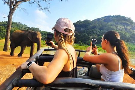 All Inclusive Private Safari at Habarana Park (Pick-up Included)