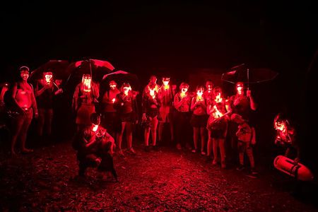 El Yunque Rainforest Night Walk Adventure (Twilight River & Swim)