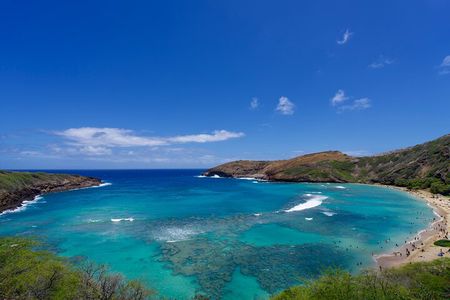 Private Tour Oahu-Circle Island-Customizable-Full or Half Day