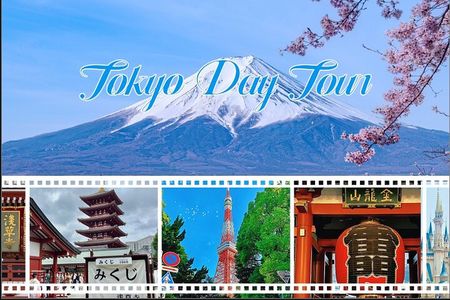 Tokyo Customizable Private Tour with Private Driver（10 hours)