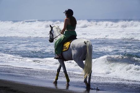 Bali Horse Riding Trot or Canter Sanur Beach include Transport