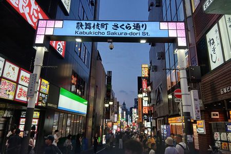 Tokyo Kabukicho Tour & Dinner Party - for Adults Only 